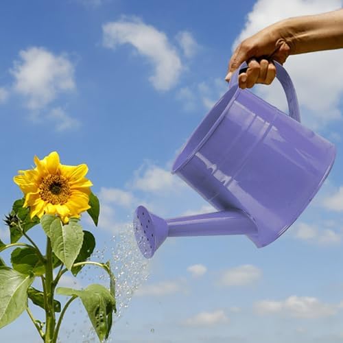 0.26 Gallon Small Watering Can, Rustproof Leak Proof Lightweight Indoor Watering Cans for House Plants with Sprinkler Head and Handle,Decorative Metal Modern Water Can for Plants for Succulents - Image 3
