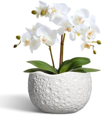 Ceramic Pots for Plants - 6 Inch Plant Pot for Indoor Outdoor, Decorative Orchid Pots with Drainage Hole, Unique Round Modern Planters, Home Decor, Gifts for Plant Lovers, White by Thirtypot