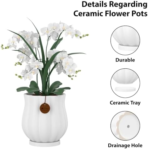 5.8" Matte White Ceramic Plant Pot with Saucer - Image 3