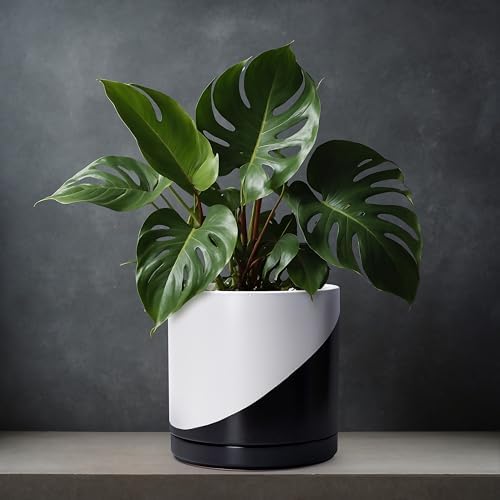D'vine Dev 12 Inch Ceramic Planter Pot, Black White Diagonal, 94-O-F-K - Image 5