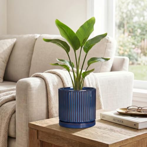 Ceramic Plant Pots, 6 Inch Indoor Pots for Plants, Retro Blue - Image 5