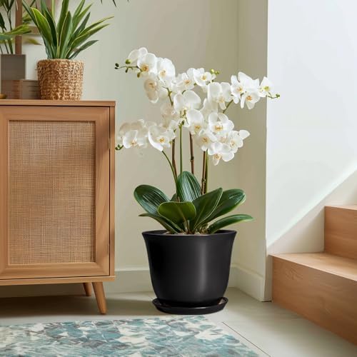 Ceramic Plant Pots - 12 Inch Plant Pot for Indoor Plants Outdoor, Large Planter with Drainage Hole and Saucer, Round Planters, Modern Flower Pot, Garden Patio Home Decor, Garden Gift, Black - Image 5