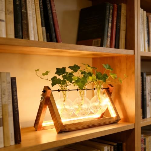 Plant Propagation Station with 9-Speed Adjustable LED Lights Air Planter Bulb Glass Vase Wooden Stand Plant Terrarium for Hydroponic Plants for Plant Lovers Home Garden Office - Image 5