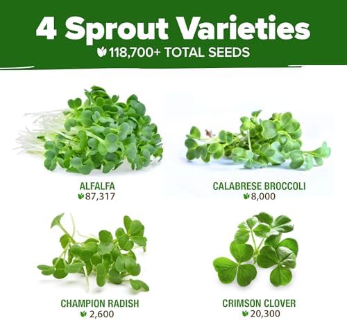 HOME GROWN Sprouting Seeds Mix 118,200 Microgreen Seeds 16 oz Resealable - Image 2
