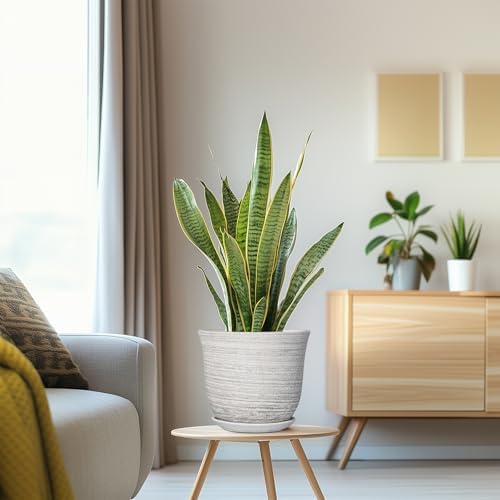 Ceramic Plant Pots - 8 Inch Plant Pot with Drainage Hole and Saucer, Round Flower Pots for Indoor Outdoor, Modern Planter, Decorative Planters, Home Apartment Decor, Gardening Gifts, Grey - Image 5