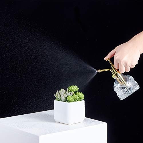 Glass Plant Mister Spray Bottle, Vintage Succulent Water Sprayer with Golden Top Pump, Small Sprayer Mister for Indoor Outdoor House Plants - Clear - Image 4