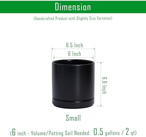 D'vine Dev 6.5 Inch Ceramic Planter Pot, Black, 94-O-C-2 - Image 3