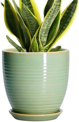 Ceramic Plant Pots - 6 Inch Ceramic Planter with Drainage Hole and Saucer, Modern Planters for Indoor Outdoor Plants, Round Flower Pots, Office House Decor, Gifts for Women Men, Bright Green by EPFamily