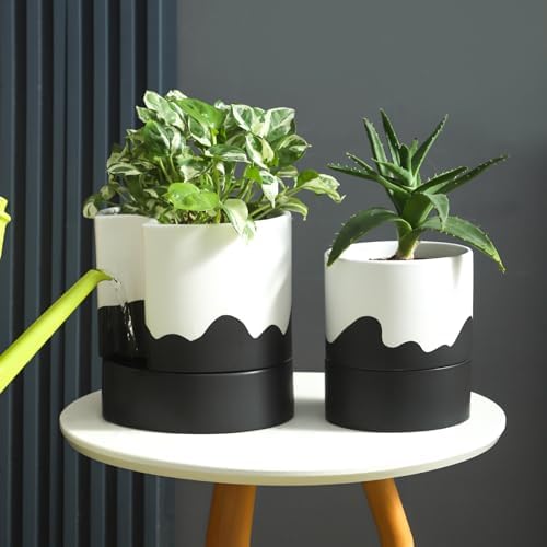 Nihow Self Watering Plant Pot, 8 Inch, White & Wave Black - Image 5