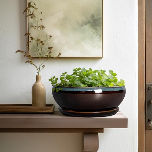 SQOWL Bonsai Tree Pots - 10 Inch Ceramic Succulent Pots with Drainage Hole and Saucer, Round Shallow Plant Pot Indoor Outdoor, Ceramic Bonsai Pot, Bowl Planter, Home Decor, Garden Gifts, Blue-Brown - Image 6