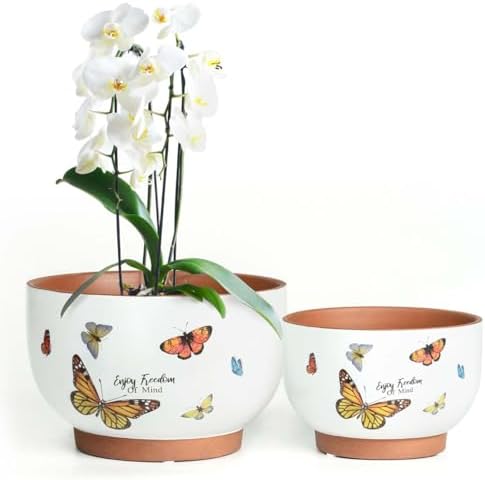 Terracotta Pots, 8+6 Inch Plant Pots, 2 Pcs with Drainage Holes by YBXYIBOXUAN