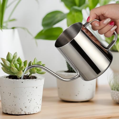 Small Watering Can for Indoor Plants - 20 oz Mini Indoor Watering Can with Long Spout Gooseneck Rust-Proof Stainless Steel Tiny Watering Kettle for Small Plants by Roamall