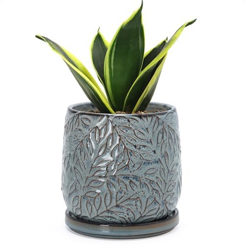 D'vine Dev Embossed Leaves Ceramic Planter, 5 in, Graphite Blue, 27-A-V-9 by DvineDevPlanterPotsandStand