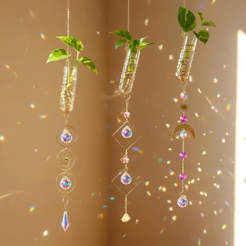 3pcs Crystal Suncatchers with Plant Propagation Tubes for Window Wall by HDCRYSTALGIFTS
