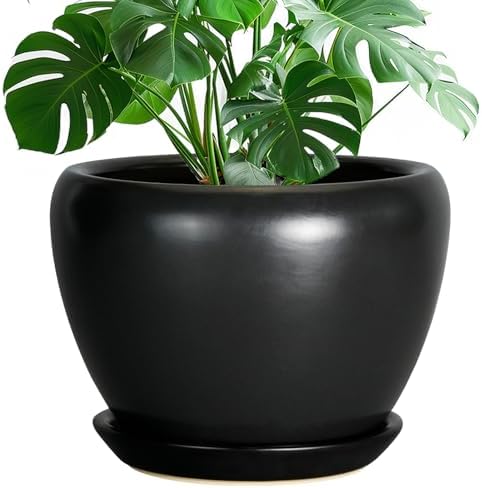 Ceramicfor Ceramic Pot for Plants, 10 Inch Plant Pot, Black by Ceramicfor