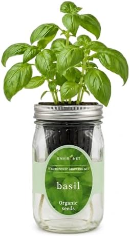 Hydroponic Growing Kit, Self-Watering Mason Jar Herb Garden Starter Kit Indoor, Windowsill Herb Garden, Grow Your Own Herbs from Organic Seeds (Basil) by Environet