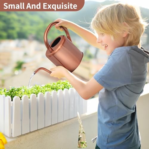 Watering Can, Stainless Steel Watering Can for Indoor & Outdoor Plants, 1L/35oz Long Spout Water Can with Handle, Rust-Proof Plant Watering Pot for House Plants, Garden Flowers - Image 2