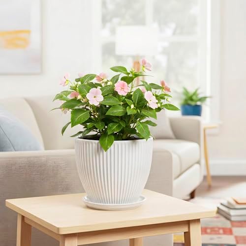 8 Inch Plant Pot, Ceramic Planters for Indoor Plants, Round Pots for Plants with Drainage Hole and Saucer, Modern Decorative Flower Pots, Office Bedroom Decor, Gifts for Plant Lovers, White - Image 6