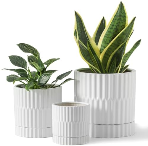 HASENSE Ceramic Plant Pots Set of 3, 8/6/4.6 Inch Cylinder Flower Planters with Drainage Saucers, Vertical Ribbed Modern White for Home Office & Outdoor Plants by Hasense