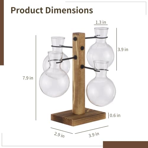 Hydroponic Plant Propagation Station, 4 Clear Round Glass Vases with Solid Wood Base, Mini Landscape Decor Set for Desktop Ornament, Home Garden Display, Ideal Choice for Plant Lovers - Image 3