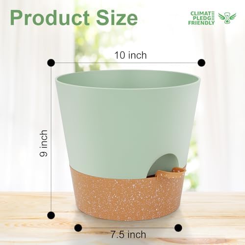 YNNICO 10-Inch Plant Pots, Self-Watering Planters with Drainage Holes & Saucers for Indoor and Outdoor Plants (2-Pack, Green) - Image 4
