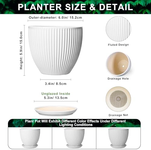 Ceramic Pots for Plants, 6 Inch Plant Pot with Drainage Hole and Saucer, Round Ceramic Flower Pots for Indoor Plants, Modern Small Succulent Planter, Room Home Decor, Plant Lover Gifts, White - Image 2