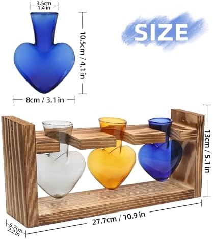 Plant Terrarium Propagation Stations Hydroponics - Image 4