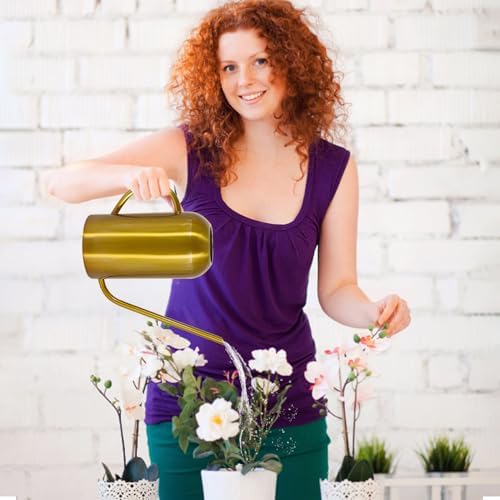 Watering Can Indoor Outdoor Plants, 50oz/1500ml Garden Long Spout Watering Cans, Stainless Steel Plants Watering Can Pot for Indoor House Plants Bonsai Flower Decorative - Image 5