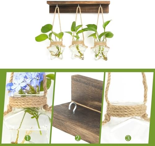 XXXFLOWER Wall Hanging Propagation Station with 3 Star-Shaped Glass Vase - Image 4