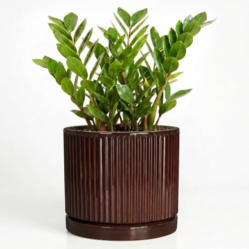 10 Inch Ceramic Plant Pots, Round Flower Pots with Saucer, Brown by Unknown