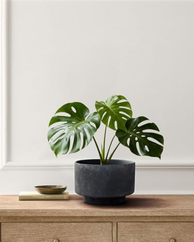 Succulent Pots, 8"+6" Plant Pots, Ceramic Planters for Indoor Plants - Image 4