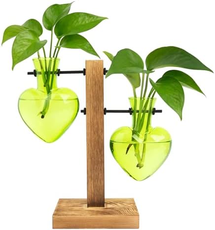 XXXFLOWER Plant Propagation Station Terrarium 2 Green Heart Shaped Vase by XXXFLOWER