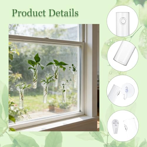 Bunmery 6 pcs Window Propagation Stations, Plant Propagation Tubes with suckion Cups & Nails, Easy to Install Wall Hanging Planter Propagation Station, Glass Plant Terrarium Vase - Image 5