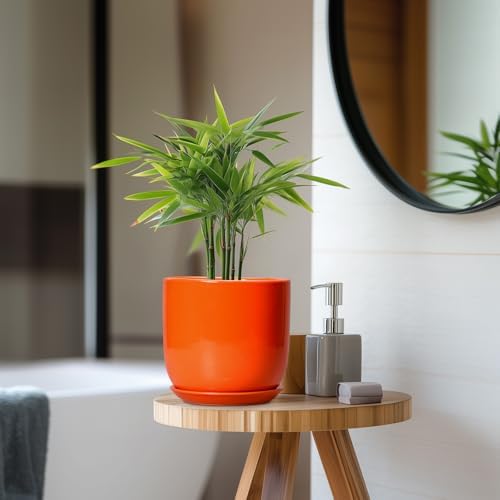 7 Inch Plant Pot - Ceramic Planter with Drainage Hole and Saucer, Modern Round Ceramic Flower Pot for Indoor Outdoor Plants, Plant Lover Gifts, Home Garden Office Decor, Orange - Image 7