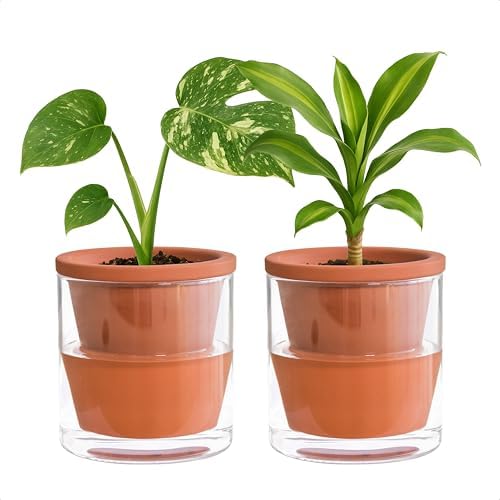 D'vine Dev Self Watering Terracotta Planter Pot, 4 in, 2-Pack, 37-Y-A-1 by DvineDevPlanterPotsandStand