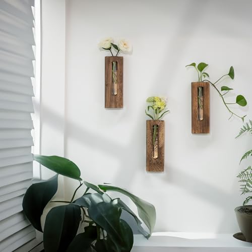Farmhouse Wall Plant Propagation Station with Glass Tubes - Image 6