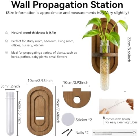 Artilady Plant Propagation Station Wall Hanging, Thick Wood Terrarium Tube - Image 5