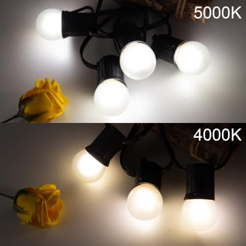 G40 Low Wattage Led Bulb 1.5W Equal 15 Watt Small Edison Light Bulbs 5000K - Image 5