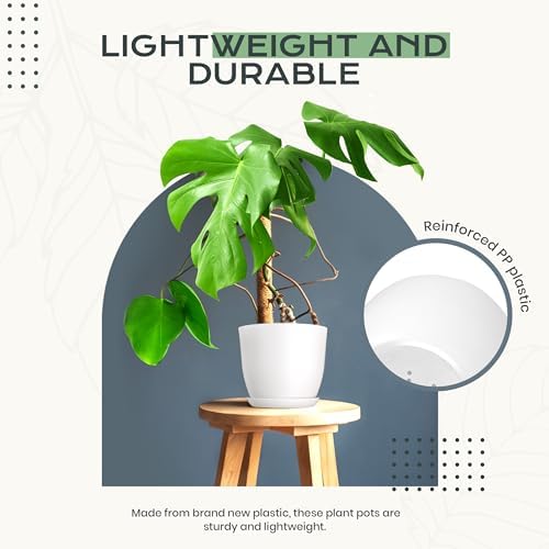 Plant Pots Indoor with Drainage, 10 Pack Multi-Size Planters Set, White - Image 6