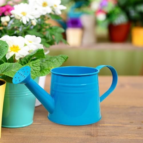 Small Watering Can, 1L Metal Flower Garden Watering Can, Gardening Tool Accessories for Outdoor Indoor Plants Lawn (Blue) - Image 4
