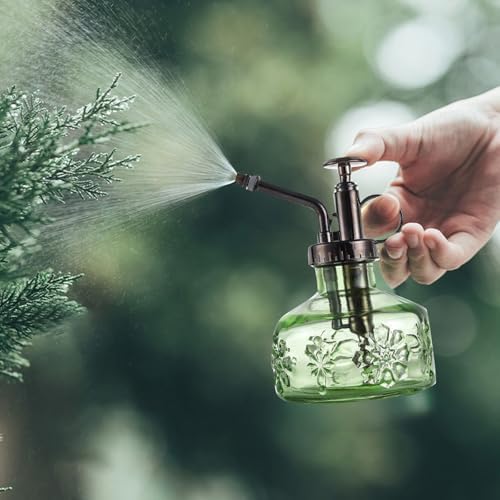 Spray Bottle for Plants, Plant Mister Spray Bottle, Glass Plant Mister Spray Bottle, Embossed Vintage Glass Watering Can, Succulent Watering Bottle with Top Pump for Outdoor (O) - Image 4