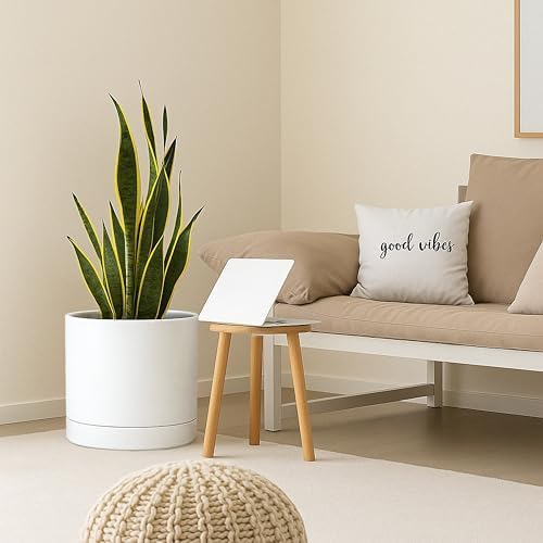 D'vine Dev 14 Inch Ceramic Planter Pot, White, 94-O-G-1 - Image 2