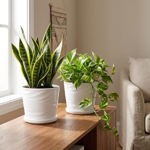 6 Inch Plant Pot,Ceramic Planter with Drainage and Saucer(6.7 In Diameter) - Image 5