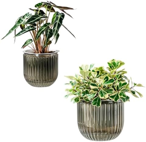 Melphoe Self Watering Pots for Indoor Plants Planter, 8.3/5.3 Inch 2 Pack Planters Self Watering Plant Pots for Flower, Houseplants, Succulent, African Violets and Cactus with Drainage by Melphoe
