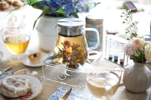 Teabloom One-Touch Tea Maker, 2-in-1 Teapot and Kettle with Stainless Steel Filter Lid for Loose Tea – Stain-Free Borosilicate Glass Tea Pot (15 Oz) – Tea Connoisseur's Choice - Image 2