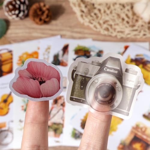 Snycler Sticker Book for Journal 20 Sheets Vintage PET Washi Stickers-3 - Image 5