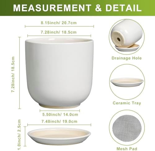 Ceramic Plant Pot - Modern 8 Inch Round Planter for Indoor Outdoor Plants with Drainage Hole and Saucer, Home House Room Office Decor, White - Image 3
