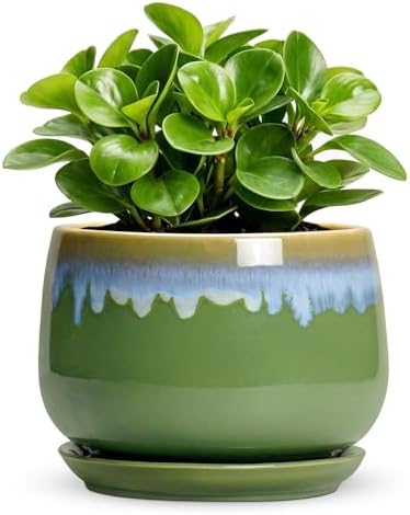 Ceramic Planter 6 Inch - Ceramic Pots for Plants with Drainage and Saucer, Decorative Small Succulent Pots for Indoor Plants, Round Plant Pot, House Decor, House Warming Gifts, Green-Blue by Fivepot