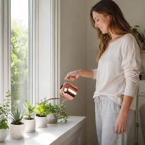 IMEEA 30oz Indoor Plant Watering Can Stainless Steel Long Spout, Rose Gold - Image 2