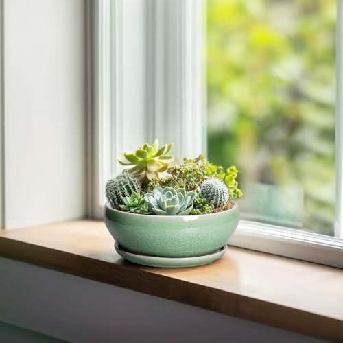 SQOWL Succulent Pots 6 Inch - Ceramic Bonsai Planter for Indoor Plants Outdoor, Shallow Planter with Drainage Hole and Tray, Round Planters for Cactus Flower, Office Decor, Gardening Gifts, Green - Image 3